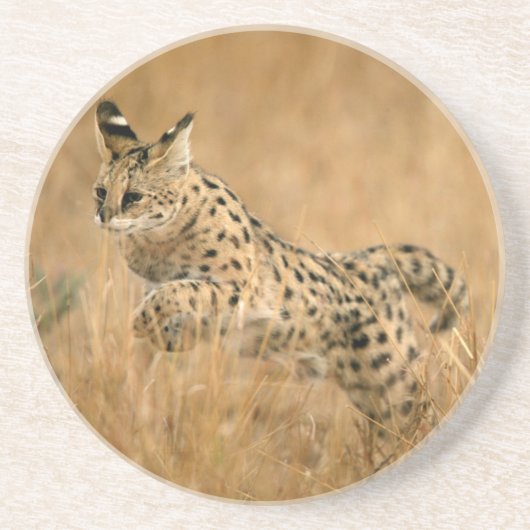 Serval (Leptailurus Serval) Springen Zandsteen Onderzetter (Voorkant)