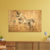 Serval (Leptailurus Serval) springend Canvas Afdruk (Insitu (Woonkamer))