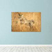 Serval (Leptailurus Serval) springend Canvas Afdruk (Insitu (Houten vloer))