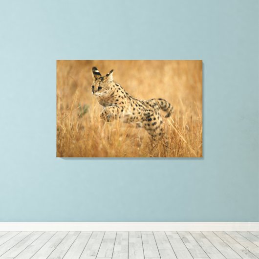 Serval (Leptailurus Serval) springend Canvas Afdruk (Insitu (Houten vloer))