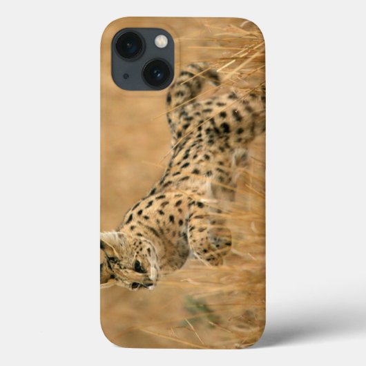 Serval (Leptailurus Serval) springend Case-Mate iPhone Case (Achterkant)