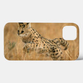 Serval (Leptailurus Serval) springend Case-Mate iPhone Case (Achterkant (horizontaal))