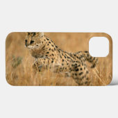 Serval (Leptailurus Serval) Springend Case-Mate iPhone Case (Achterkant (horizontaal))