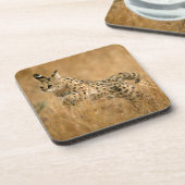Serval (Leptailurus Serval) Springend Drankjes Onderzetter (Linkerzijde)