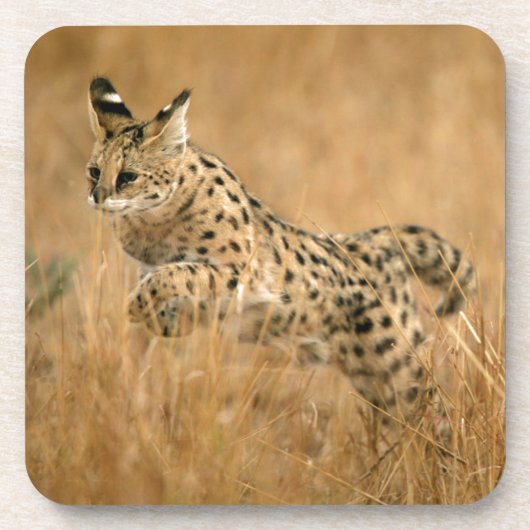 Serval (Leptailurus Serval) Springend Drankjes Onderzetter (Voorkant)