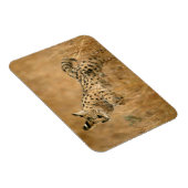 Serval (Leptailurus Serval) springend Magneet (Rechterzijde)
