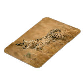 Serval (Leptailurus Serval) springend Magneet (Linkerzijde)