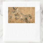 Serval (Leptailurus Serval) springend Rechthoekige Sticker (Tas)