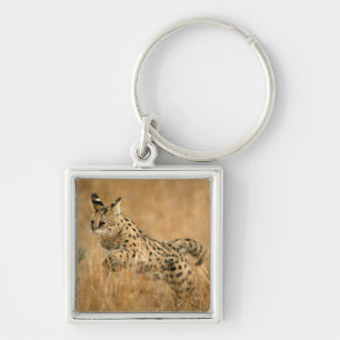 Serval (Leptailurus Serval) Springend Sleutelhanger