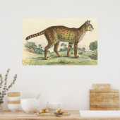 Serval Poster (Keuken)