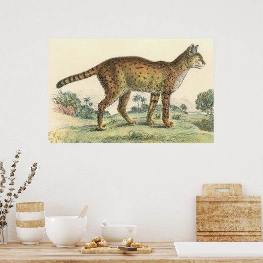Serval Poster (Keuken)