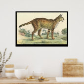 Serval Poster (Keuken)