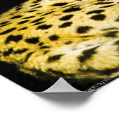 Serval Print (Hoek)