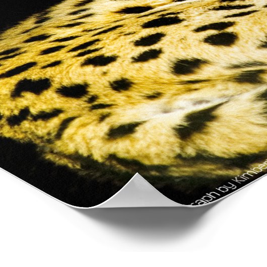 Serval Print (Hoek)