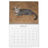 Serval Savannah Cat Calendar Kalender (Mar 2027)