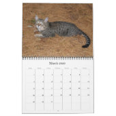 Serval Savannah Cat Calendar Kalender (Mar 2026)