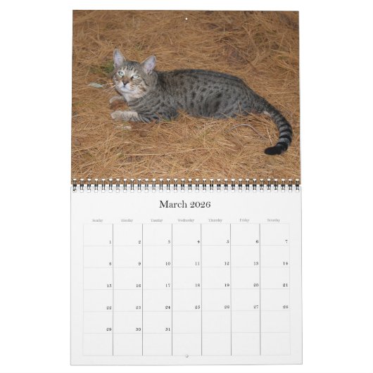 Serval Savannah Cat Calendar Kalender (Mar 2026)