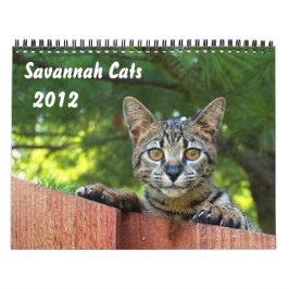 Serval Savannah Cat Calendar Kalender