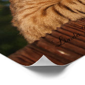 Serval Savannah Kitten USA Canvas Print (Hoek)