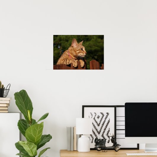 Serval Savannah Kitten USA Canvas Print (Thuiskantoor)