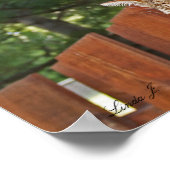 Serval Savannah Kitten USA Canvas Print (Hoek)