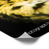 Servale afdrukken poster (Hoek)