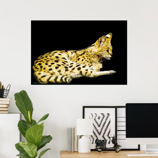 Servale afdrukken poster (Thuiskantoor)