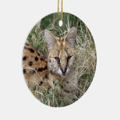 Servale kattenontspanning in gras keramisch ornament (Rechts)