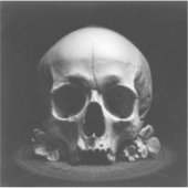 💀Served Cold — Baroque Fine Art Sticker (Voorkant)