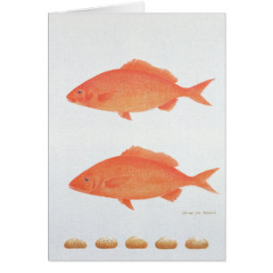 Serves Vijf Duizenden en 2005