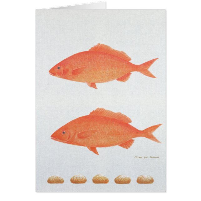 Serves Vijf Duizenden en 2005 (Voorkant)