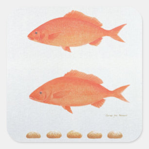 Serves Vijf Duizenden en 2005 Vierkante Sticker