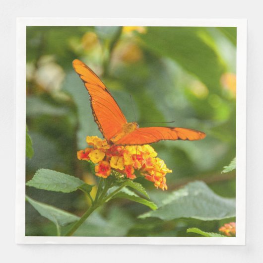 servet in papier, foto van een vlinder (Voorkant)