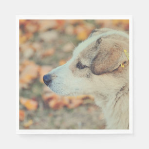 Servet landschap sjabloon