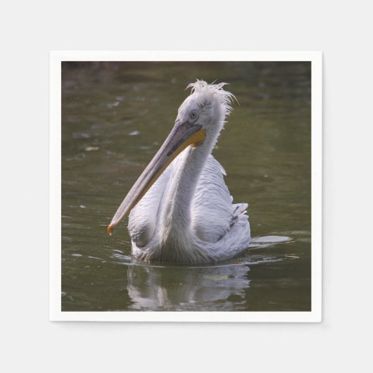 servet _ pelikaan (Voorkant)