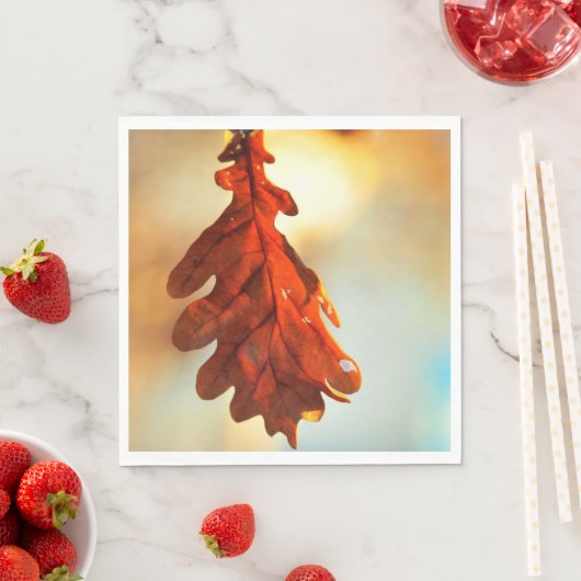 Servet portret sjabloon (Insitu)