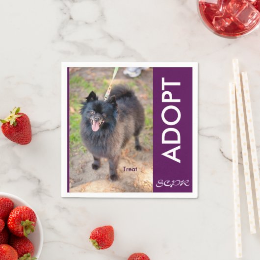 Servet - traktatie (Insitu)