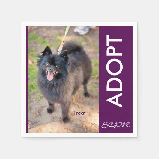 Servet - traktatie (Voorkant)