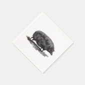 servet voor varkensetsen (Hoek)