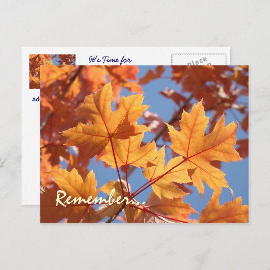 Service briefkaarten Herinnert de jaarlijkse servi (Voorkant / Achterkant)