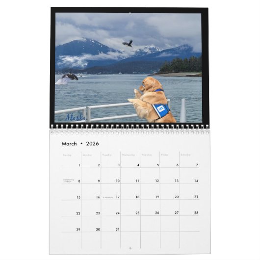 Service Dog Calendar Kalender (Mar 2026)