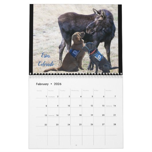 Service Dog Calendar Kalender (Feb 2026)