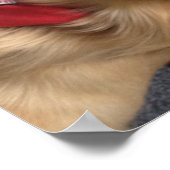 Service Dog Jonah glimlacht op het Poster van de D (Hoek)