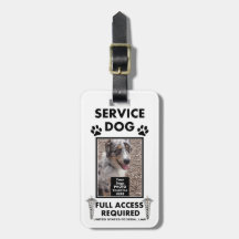 Service Dog Photo-id