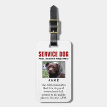 Service Dog - volledige toegang vereist badge