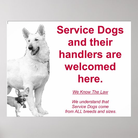Service-honden zijn welkom poster (Voorkant)