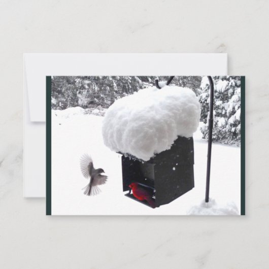 Serviceman, Postman, UPS, FedEx, Tip Card Kaart (Voorkant)