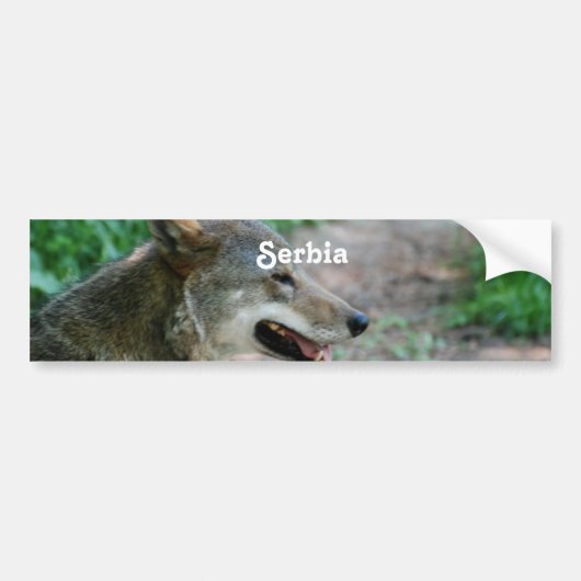 Servië Wolf Bumpersticker (Voorkant)