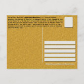 SERVISCH KLOOSTERS - Mileševa Klooster 2 Briefkaart (Achterkant)