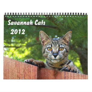 Servisch Savannah Cat Calendar Kalender